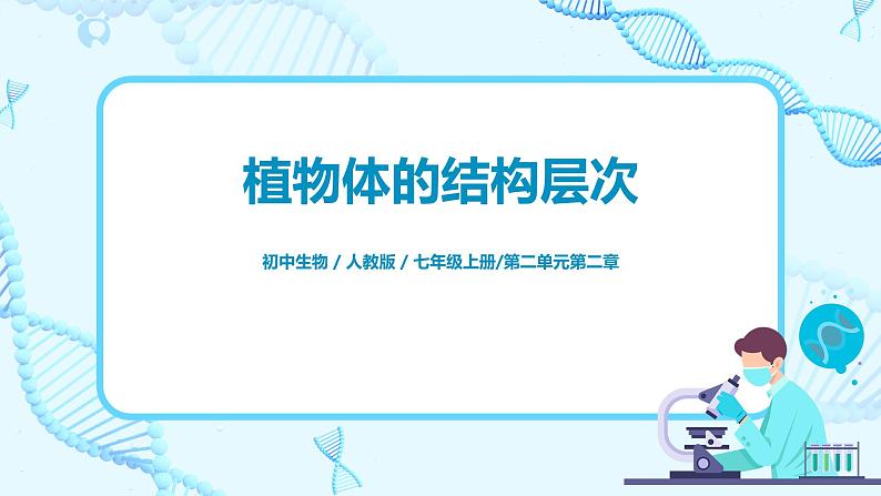 2.2.3《植物体的结构层次》(课件+教案+练习)01
