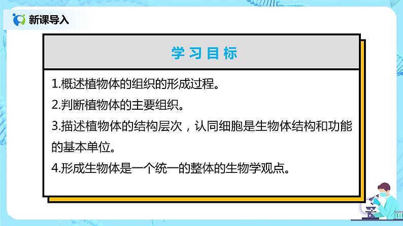 2.2.3《植物体的结构层次》(课件+教案+练习)03