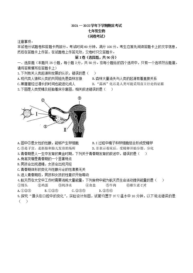 河南省郑州市2021-2022学年七年级下学期期末生物试题(无答案)第1页
