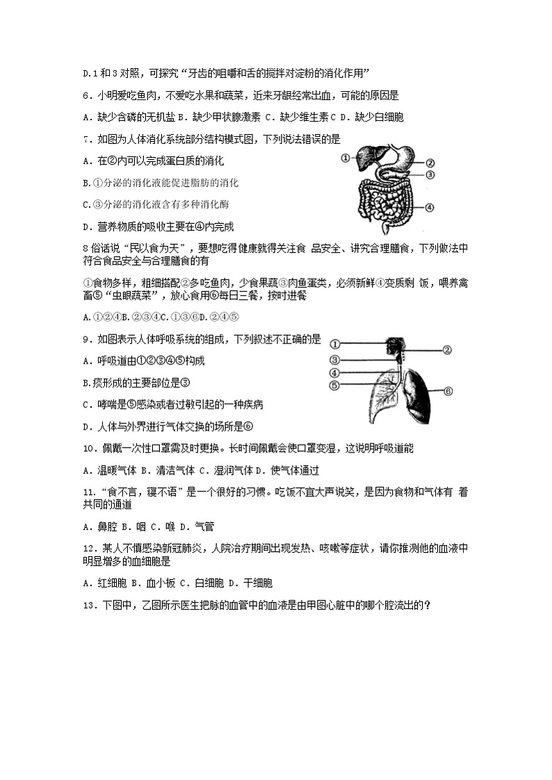 河南省郑州市2021-2022学年七年级下学期期末考试生物试卷(无答案)02