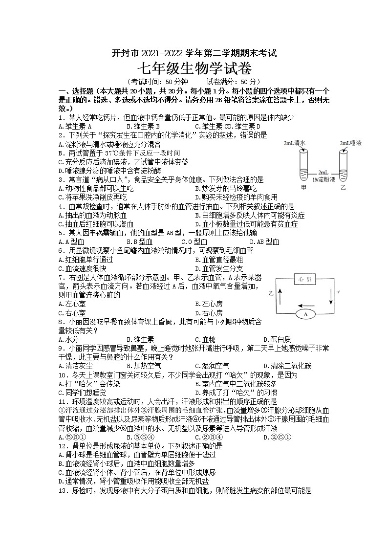 河南省开封市2021--2022学年七年级下学期期末考试生物试卷(无答案)第1页