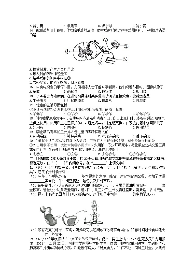 河南省开封市2021--2022学年七年级下学期期末考试生物试卷(无答案)第2页