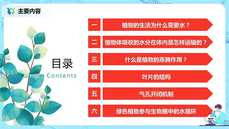 3.3《绿色植物与生物圈的水循环》(课件+教案+练习)02