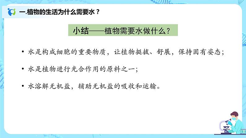 3.3《绿色植物与生物圈的水循环》(课件+教案+练习)07