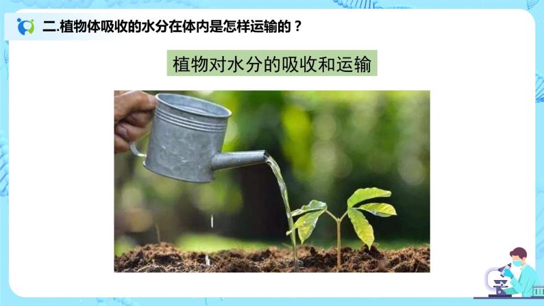 3.3《绿色植物与生物圈的水循环》（课件+教案+练习）08