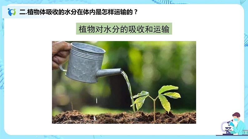 3.3《绿色植物与生物圈的水循环》(课件+教案+练习)08