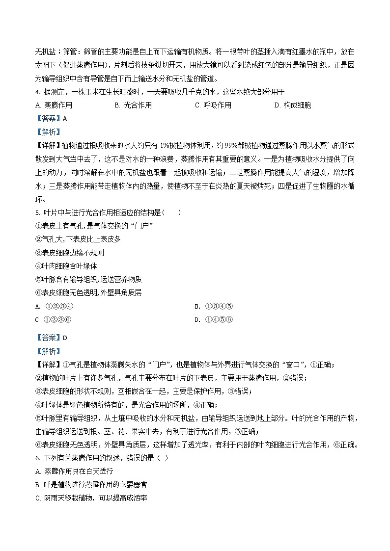 3.3《绿色植物与生物圈的水循环》(课件+教案+练习)02