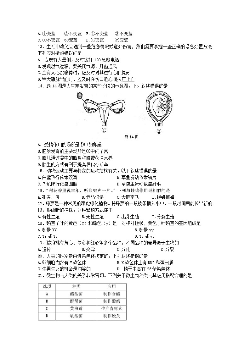 2022年广东省初中学业水平考试生物真题(word版含答案)第2页