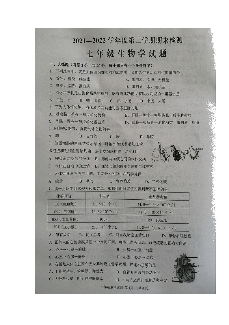 山东省邹城市2021-2022学年七年级下学期期末考试生物试卷(无答案)第1页