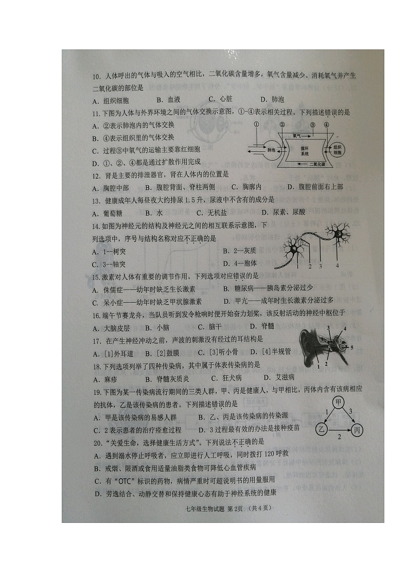 山东省邹城市2021-2022学年七年级下学期期末考试生物试卷(无答案)第2页