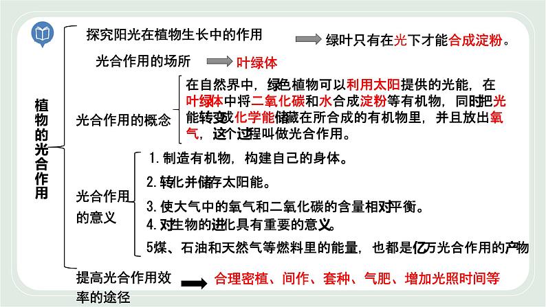 4.2 绿色植物的生长需要水和无机盐 第1课时-七年级生物上册 课件+练习(苏科版)02