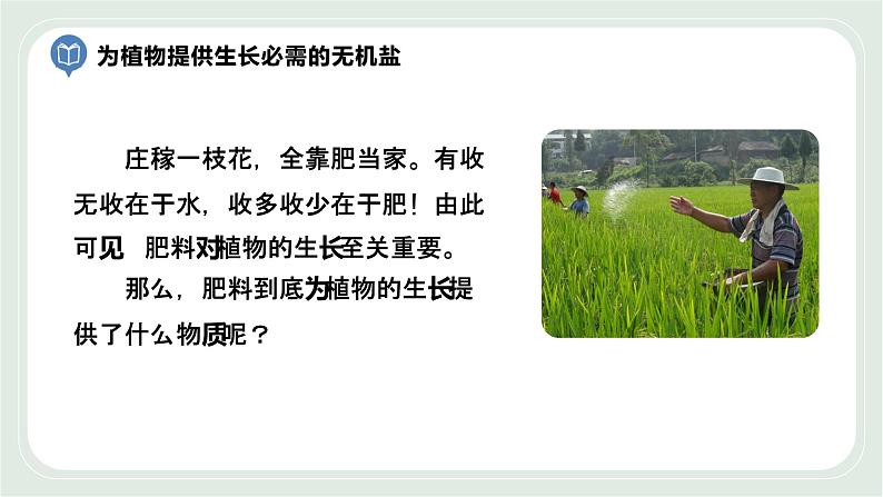 4.2 绿色植物的生长需要水和无机盐 第1课时-七年级生物上册 课件+练习(苏科版)03