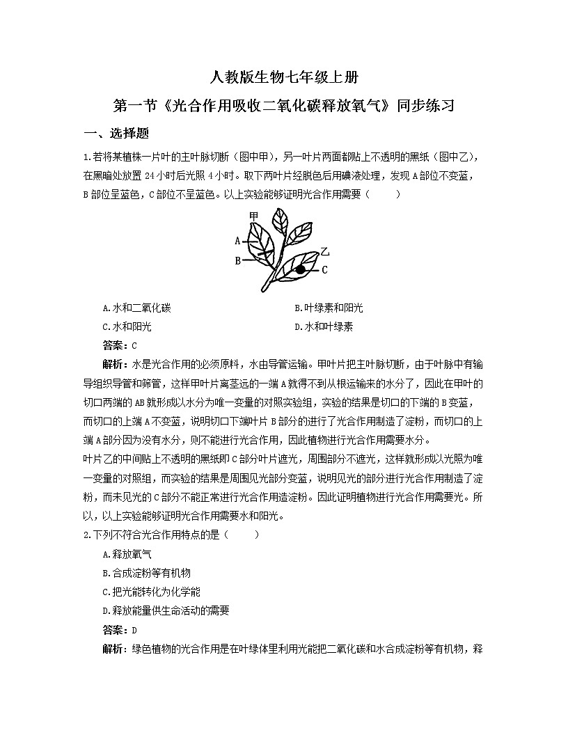 3.5.1《光合作用吸收二氧化碳釋放氧氣》-練習(xí)第1頁