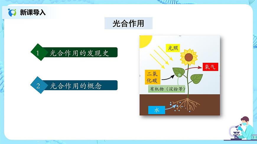 3.5.1《光合作用吸收二氧化碳釋放氧氣》-課件第4頁