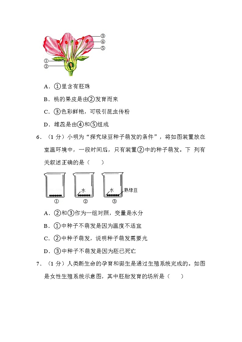 2022年吉林省长春市中考生物试卷解析版第2页