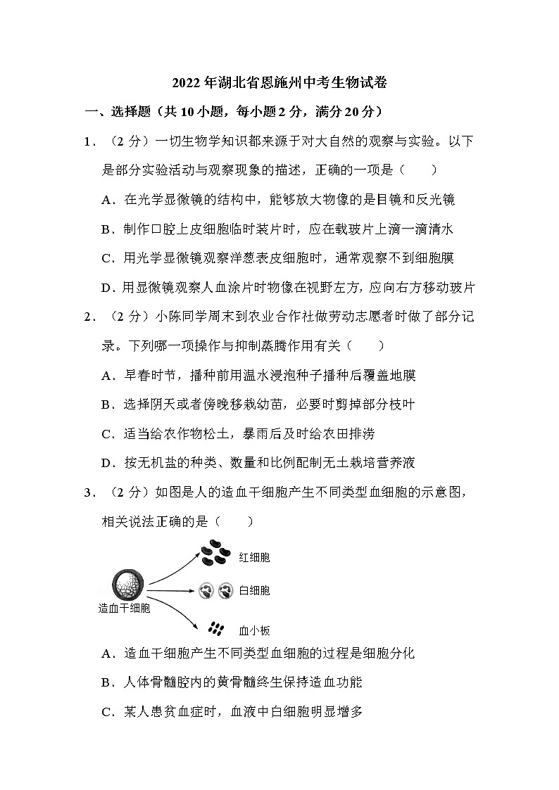 2022年湖北省恩施州中考生物试卷解析版01