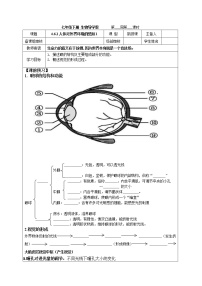 鲁科版五四教材 生物学七年级下册 导学案 全册