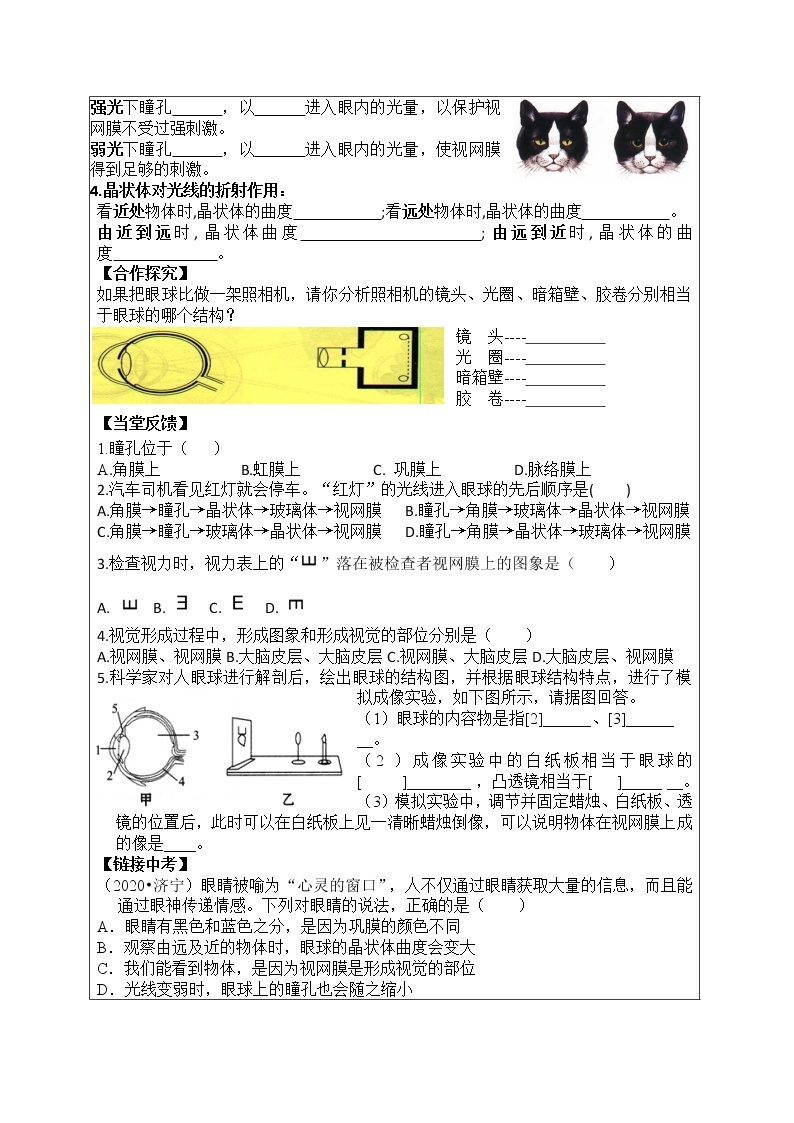 鲁科版五四教材 生物学七年级下册 导学案 全册02