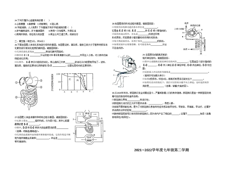 安徽省淮南市八公山区2021—2022学年七年级下学期期末检测生物试卷(word版含答案)第2页