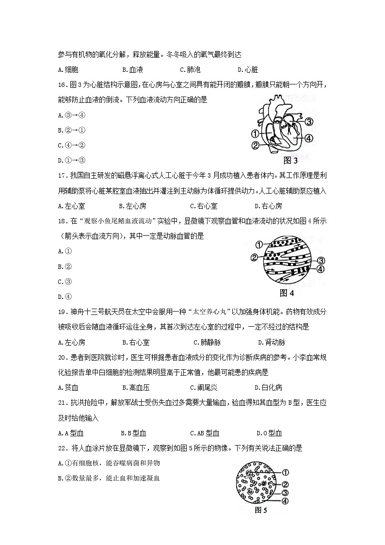 广西柳州市2021-2022学年七年级下学期期末考试生物试题(word版含答案)第3页