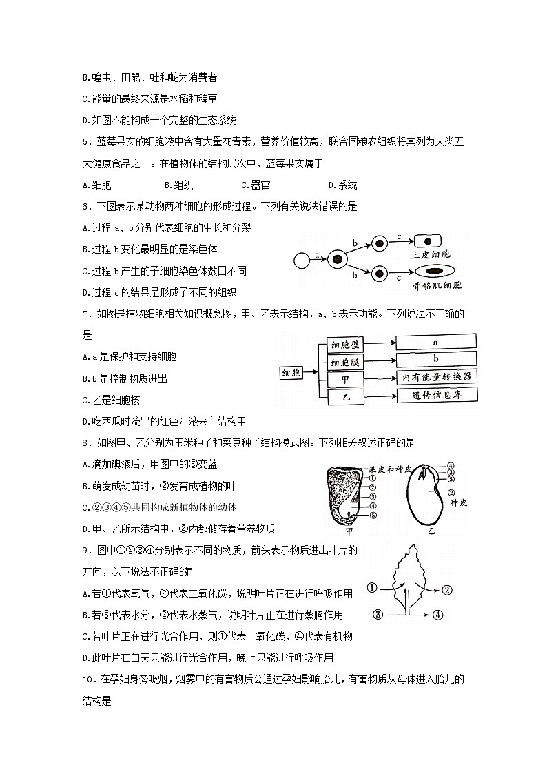 河南省范县2021-2022学年七年级下学期期末考试生物试卷(word版含答案)第2页