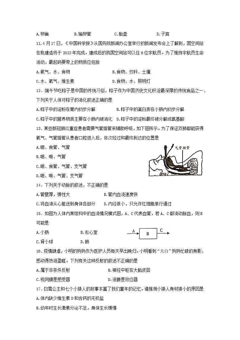 河南省范县2021-2022学年七年级下学期期末考试生物试卷(word版含答案)第3页
