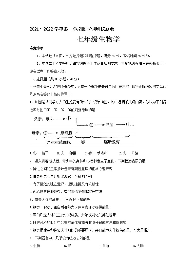 河南省平顶山市2021-2022学年七年级下学期期末考试生物试题(word版含答案)第1页