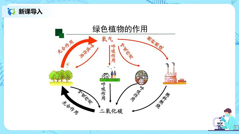 3.6《爱护植被,绿化祖国》-课件第4页