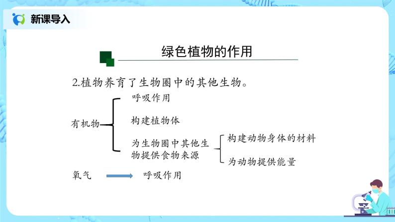 3.6《爱护植被，绿化祖国》（课件+教案+练习）07