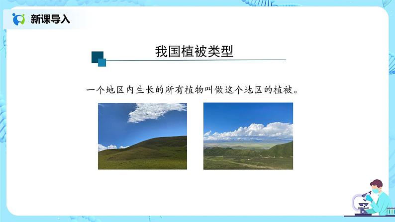 3.6《爱护植被,绿化祖国》-课件第8页