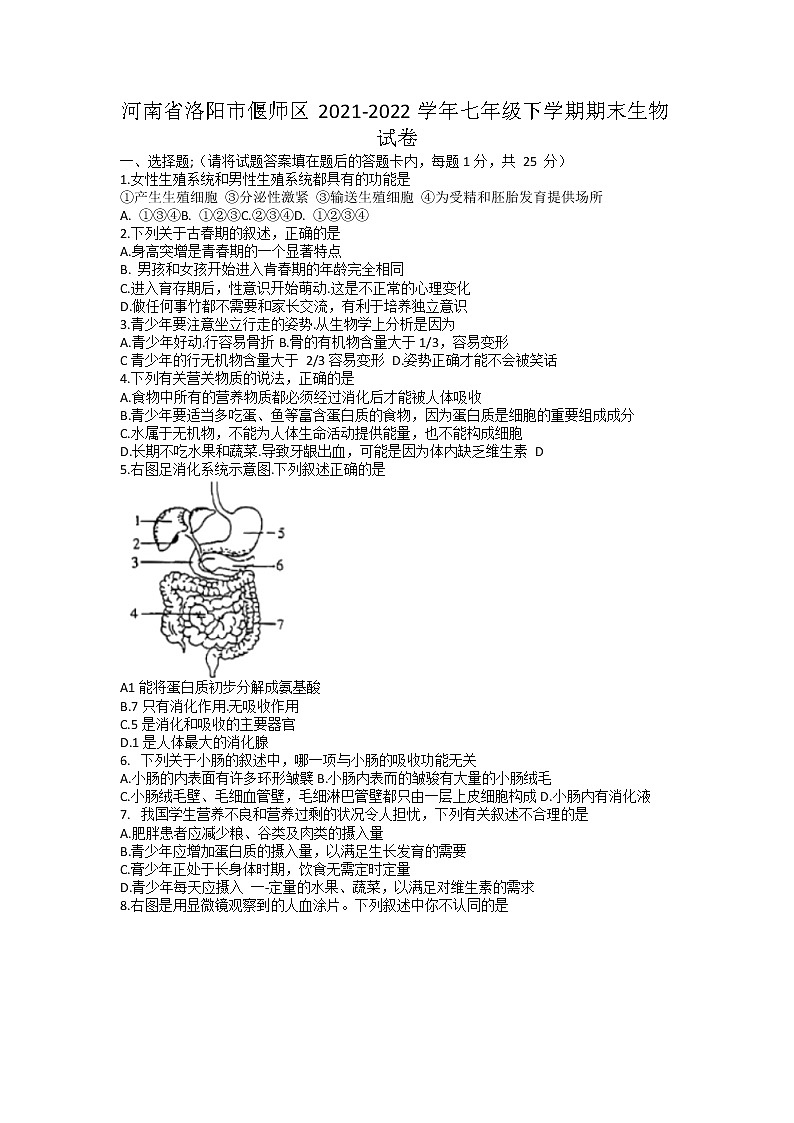 河南省洛阳市偃师区2021-2022学年七年级下学期期末生物试卷(无答案)第1页