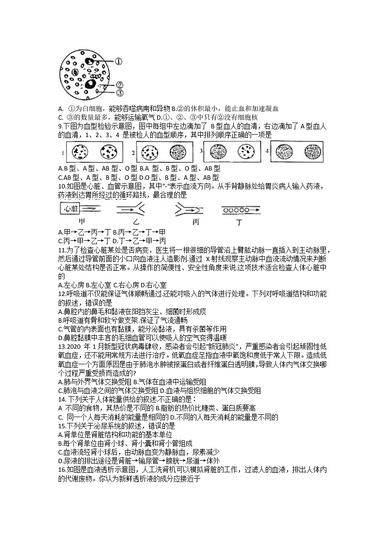 河南省洛阳市偃师区2021-2022学年七年级下学期期末生物试卷(无答案)第2页