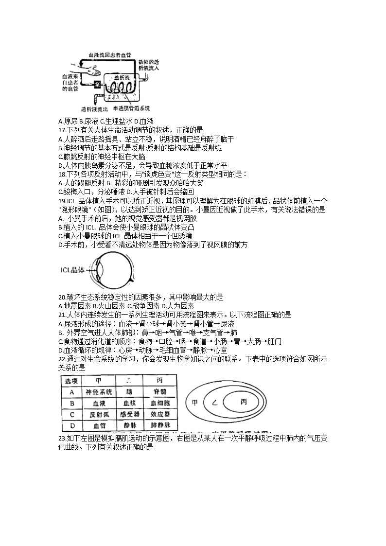 河南省洛阳市偃师区2021-2022学年七年级下学期期末生物试卷(无答案)第3页