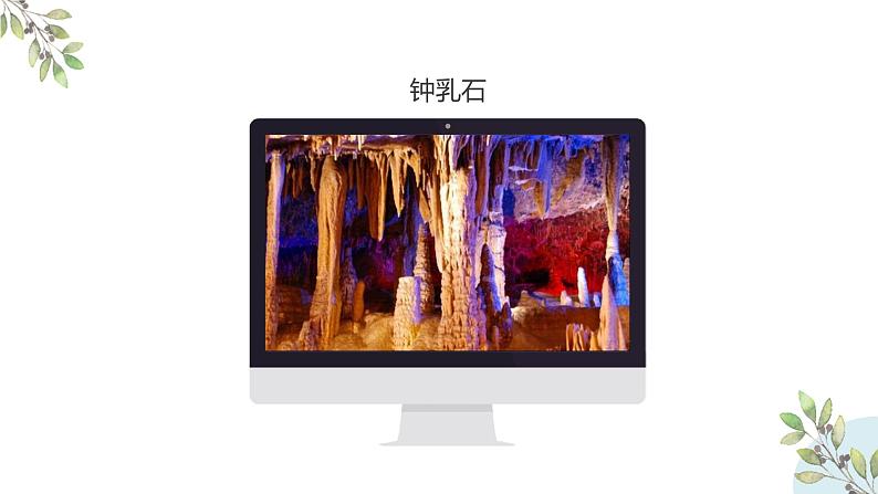 初中生物七年级上册1.1.1《生物的特征 》教学课件第2页
