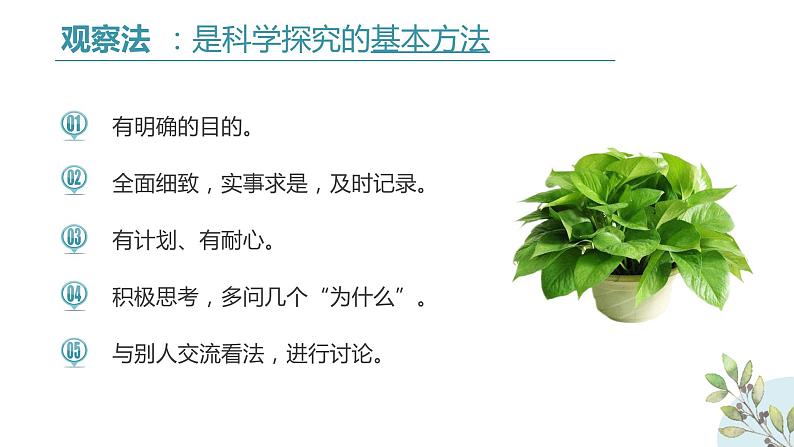 初中生物七年级上册1.1.1《生物的特征 》教学课件第4页
