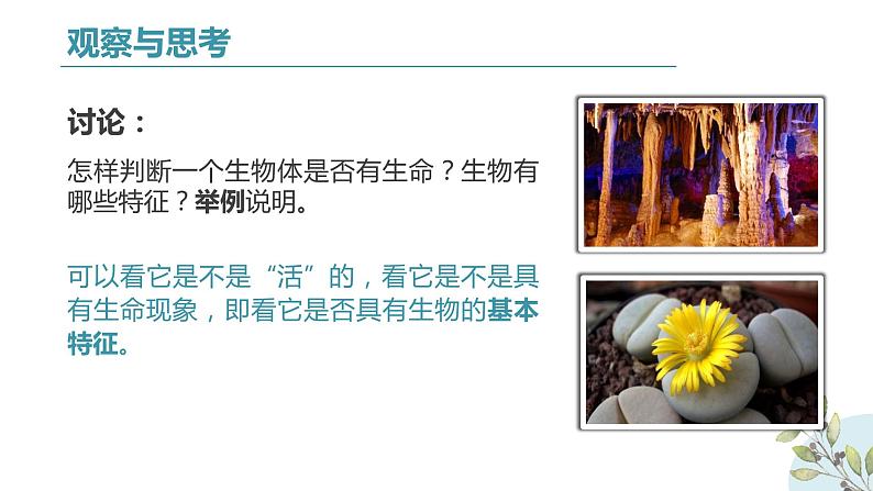 初中生物七年级上册1.1.1《生物的特征 》教学课件第6页