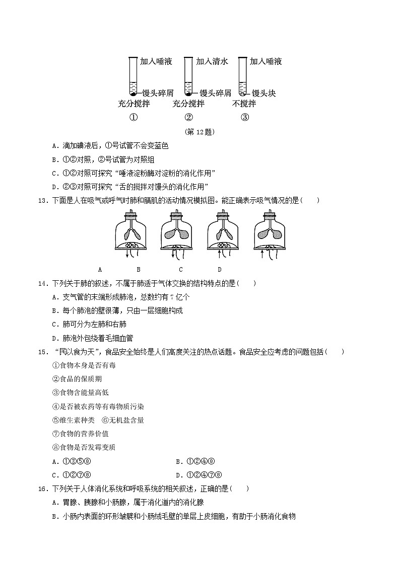 人教版七年级生物下册期中达标测试卷含答案第3页