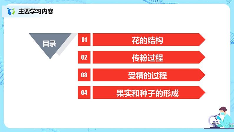 3.2.3《开花和结果》(课件+教案+练习)02