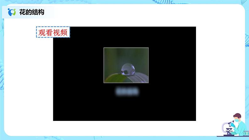 3.2.3《开花和结果》(课件+教案+练习)06