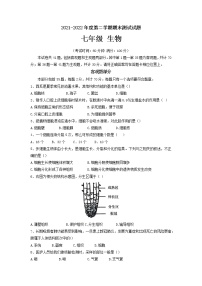 江苏省扬州市仪征市2021-2022学年七年级下学期期末测试生物试题（含答案）