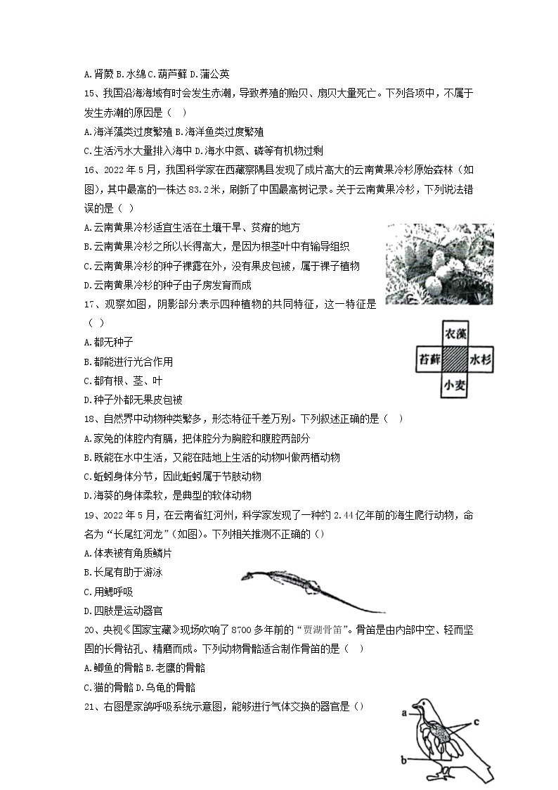 江苏省扬州市仪征市2021-2022学年七年级下学期期末测试生物试题（含答案）03