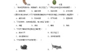 初中生物北师大版八年级下册第4节  动物的主要类群练习
