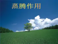初中生物北师大版七年级上册第4节 蒸腾作用课堂教学课件ppt