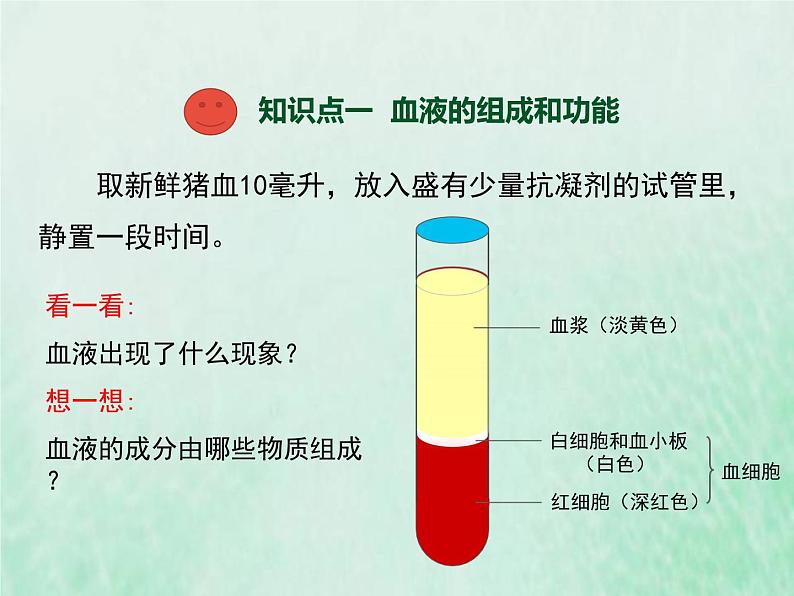 苏教版七年级生物下册第4单元生物圈中的人第10章人体内的物质运输和能量供给第1节血液和血型1课件03