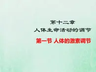 苏教版七年级生物下册第4单元生物圈中的人第12章人体生命活动的调节第1节人体的激素调节2课件