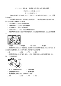 山东省东营市广饶县2021-2022学年六年级下学期期末考试生物试题(word版含答案)