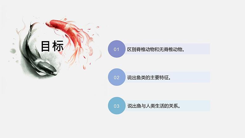 初中 初二 生物 鱼 课件02