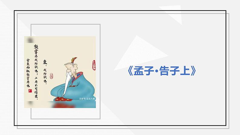 初中 初二 生物 鱼 课件06