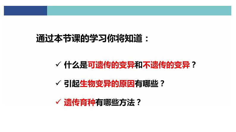 初中 初二 生物 生物的变异—教学课件第3页
