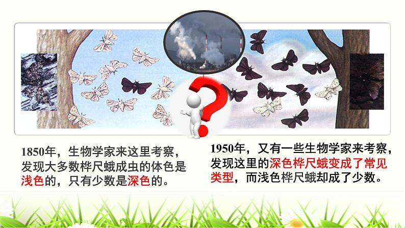 初中 初二 生物 《生物进化的原因》实验 课件第5页